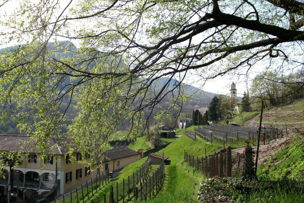 Charming B&B And Osteria La Crisalide Meride Zewnętrze zdjęcie